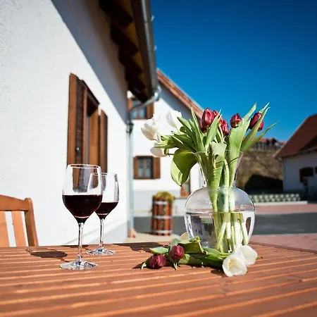 Zselicvoelgy Szabadidofarm Hotel 3*