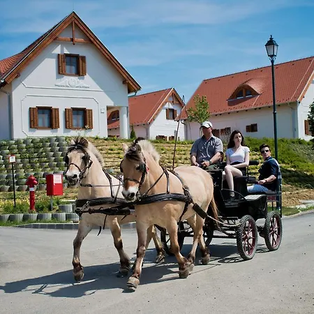 Zselicvoelgy Szabadidofarm Hajmas