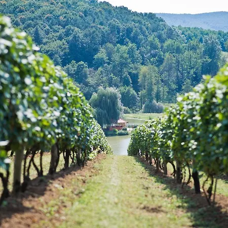 Zselicvoelgy Szabadidofarm